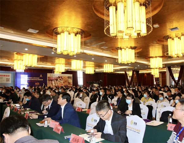 南宫NG·娱乐(中国集团)官方网站