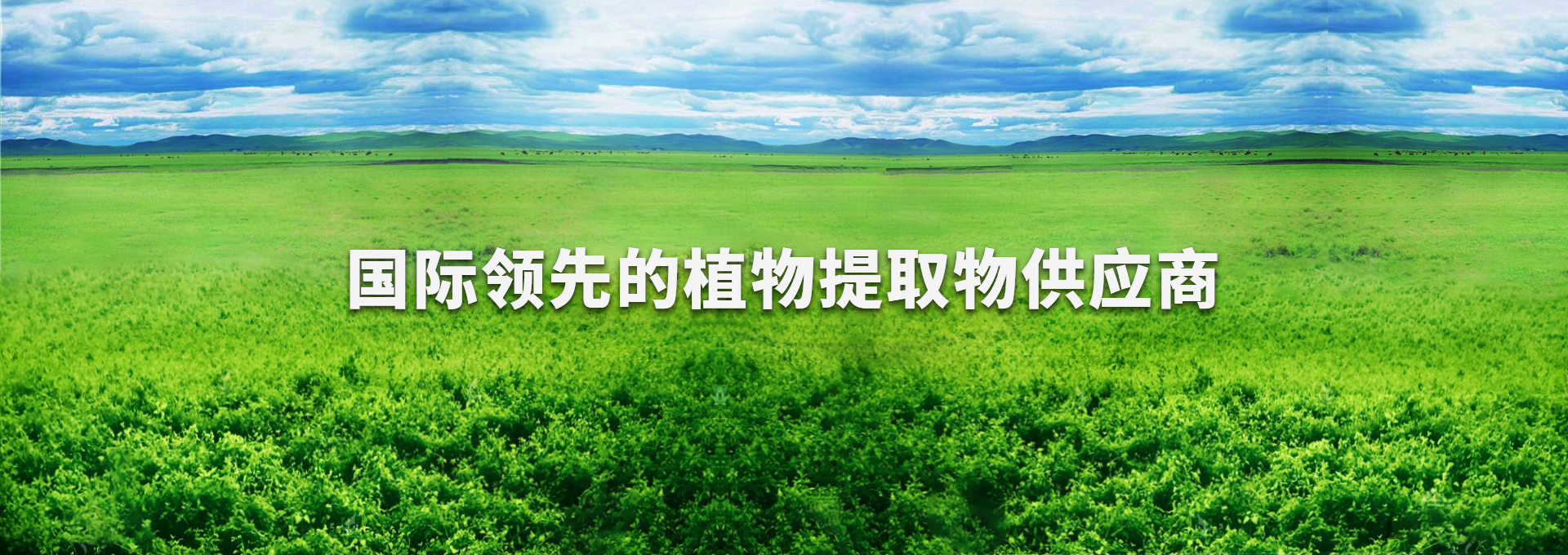 南宫NG·娱乐(中国集团)官方网站