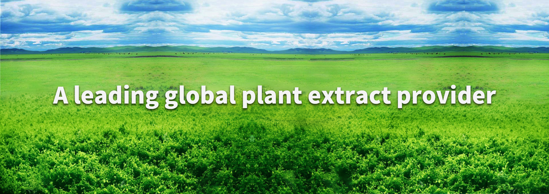 南宫NG·娱乐(中国集团)官方网站