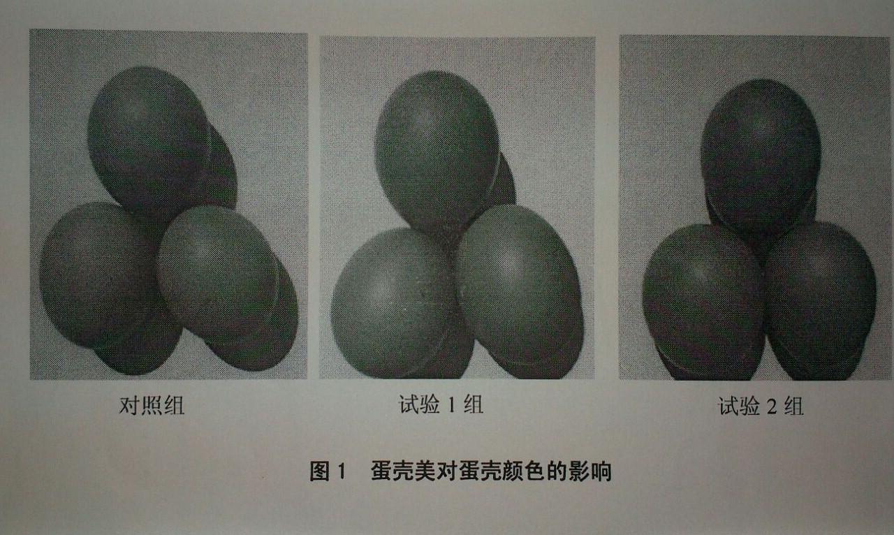 南宫NG·娱乐(中国集团)官方网站