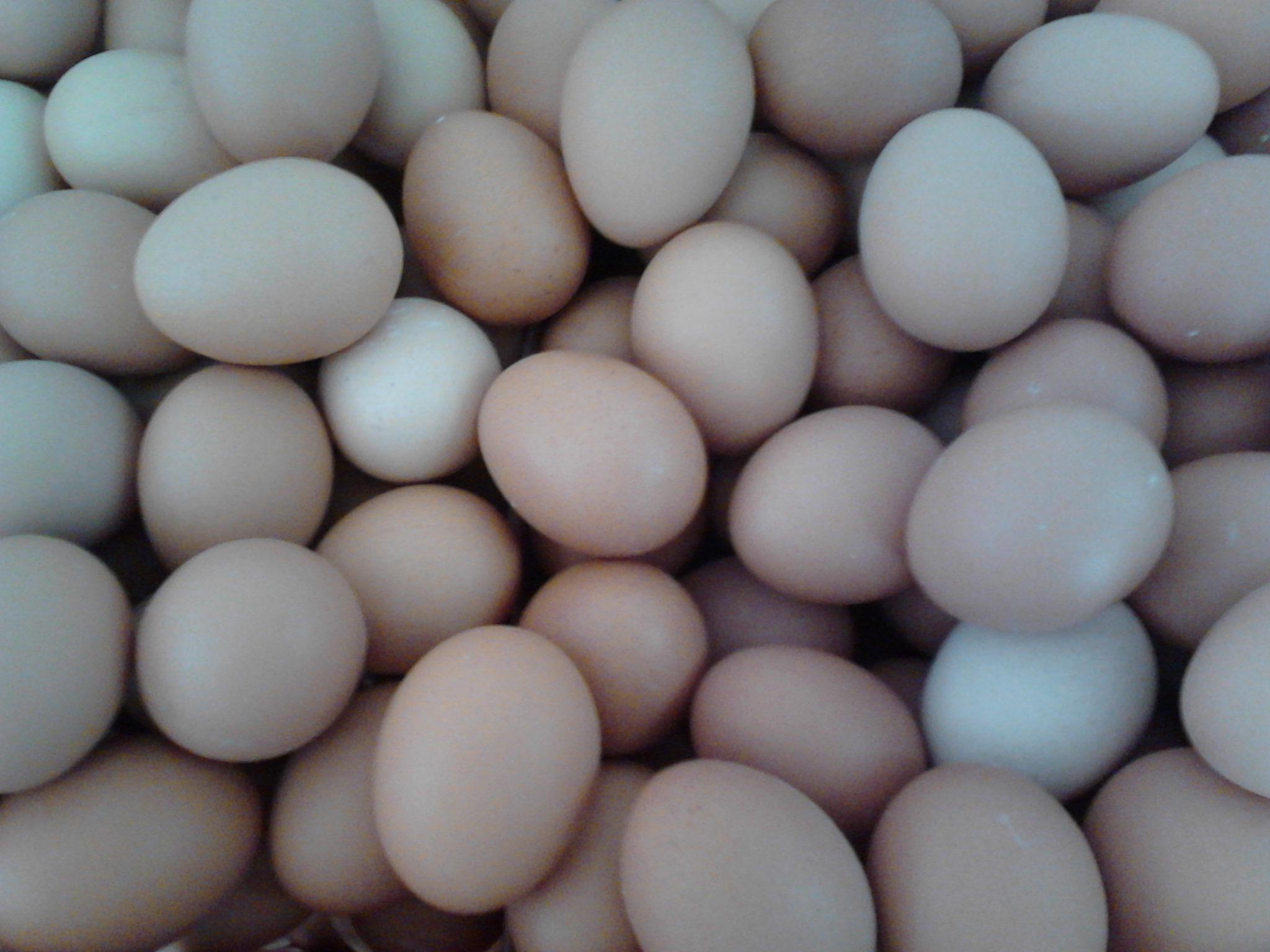 南宫NG·娱乐(中国集团)官方网站