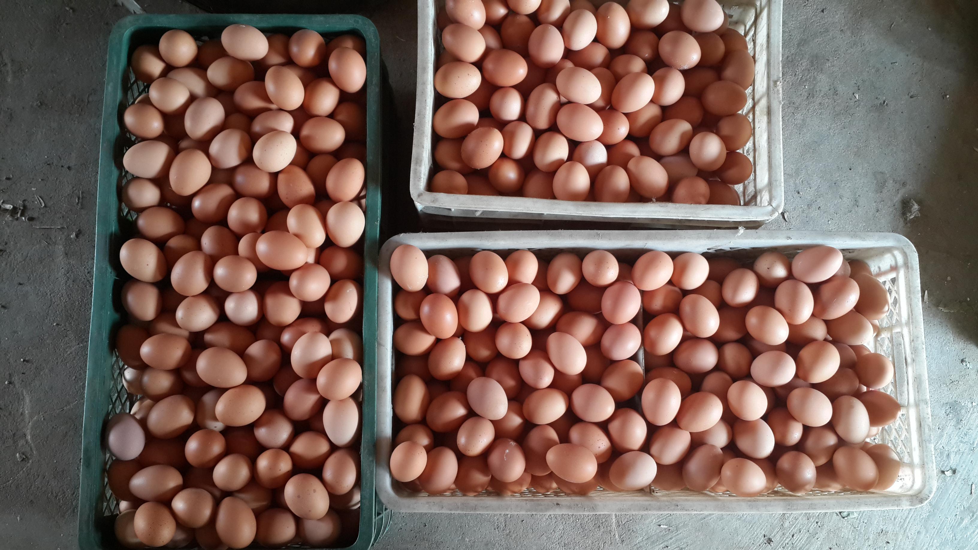 南宫NG·娱乐(中国集团)官方网站