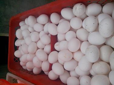 南宫NG·娱乐(中国集团)官方网站