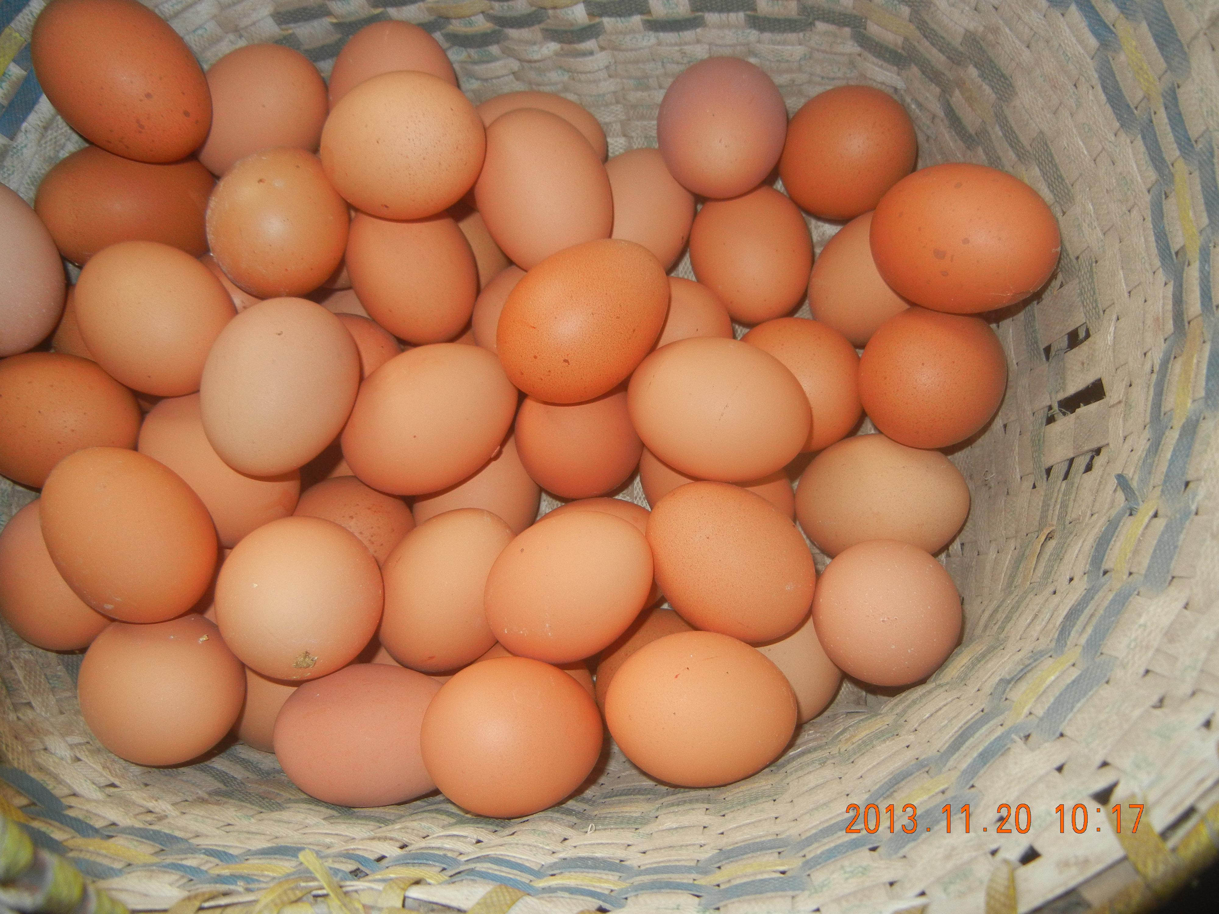 南宫NG·娱乐(中国集团)官方网站