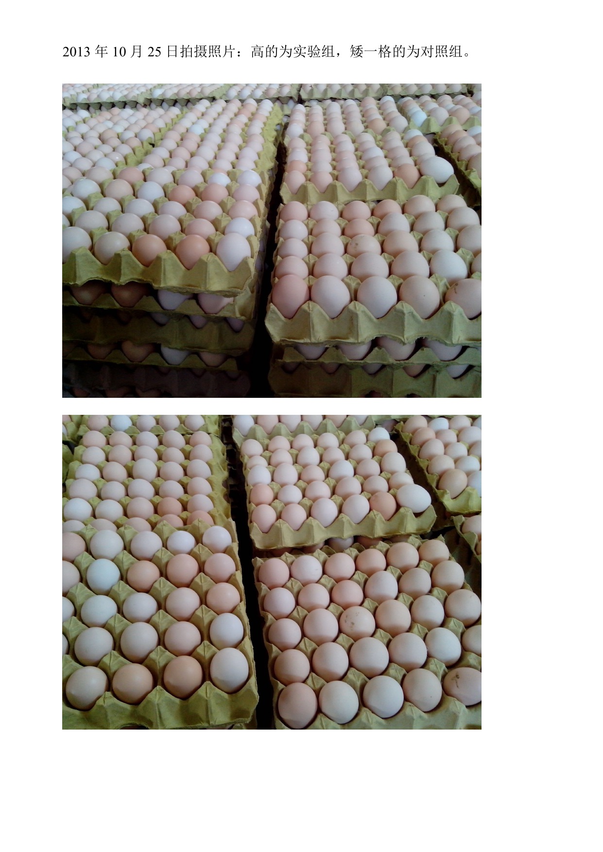 南宫NG·娱乐(中国集团)官方网站