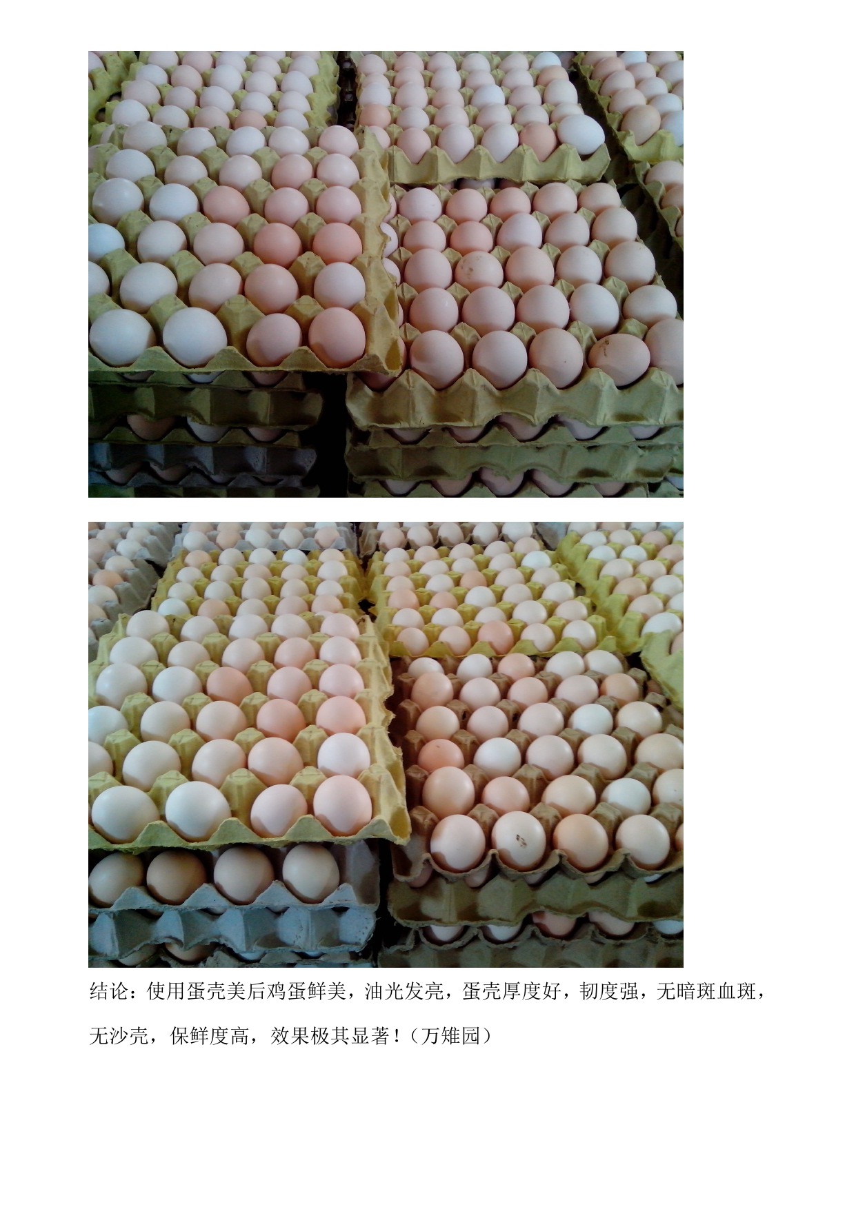 南宫NG·娱乐(中国集团)官方网站