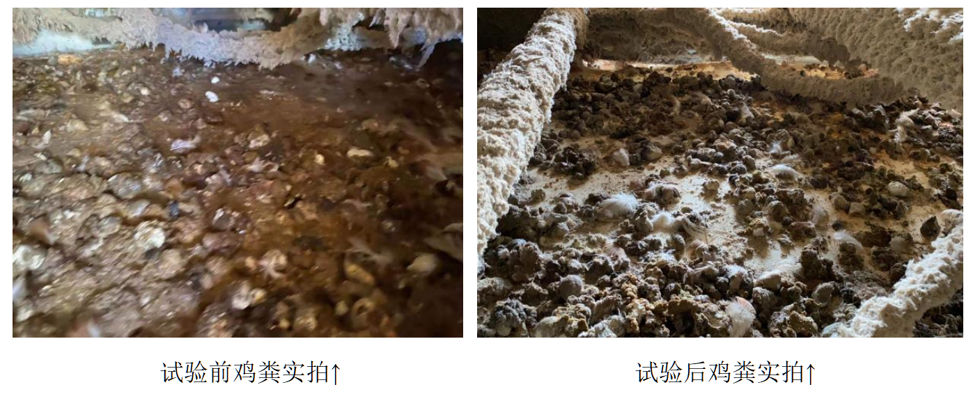 南宫NG·娱乐(中国集团)官方网站