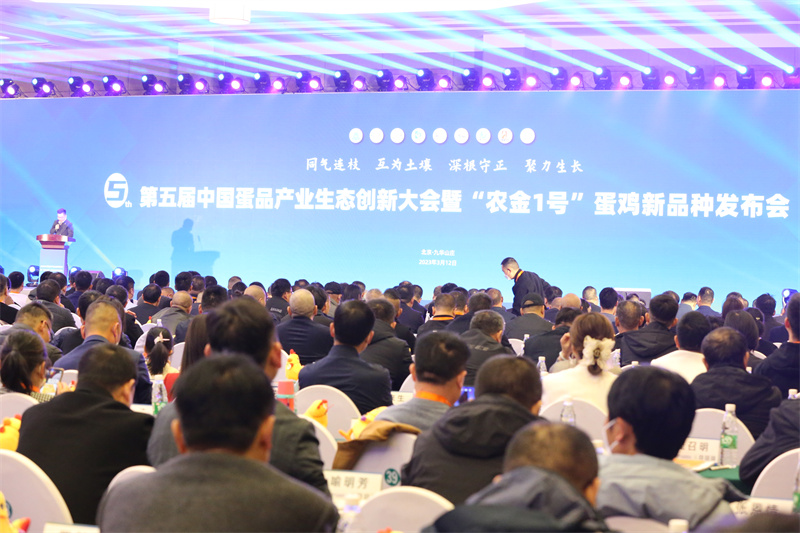 南宫NG·娱乐(中国集团)官方网站