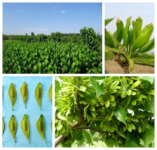 南宫NG·娱乐(中国集团)官方网站